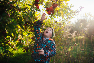Little Sprouts Preschool and Child Care Fall Field Trip