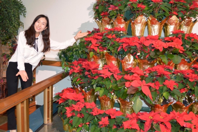 Music Director standing next to a poinsettia tree at Central United Methodist Church in Waterford, MI